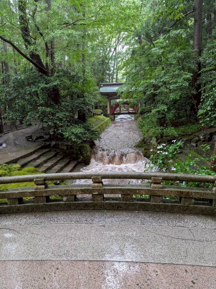 k_299_012_20260624165509.jpg