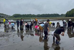 米づくり家族で体験交流会「田植え」